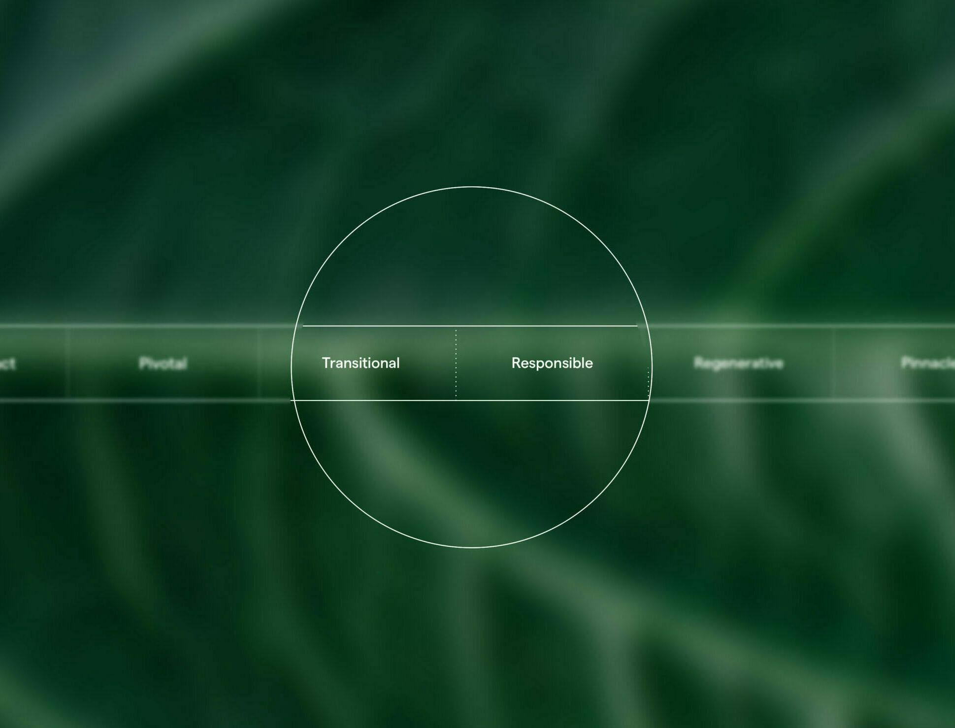 Ecoscale as a visual metric on a green background