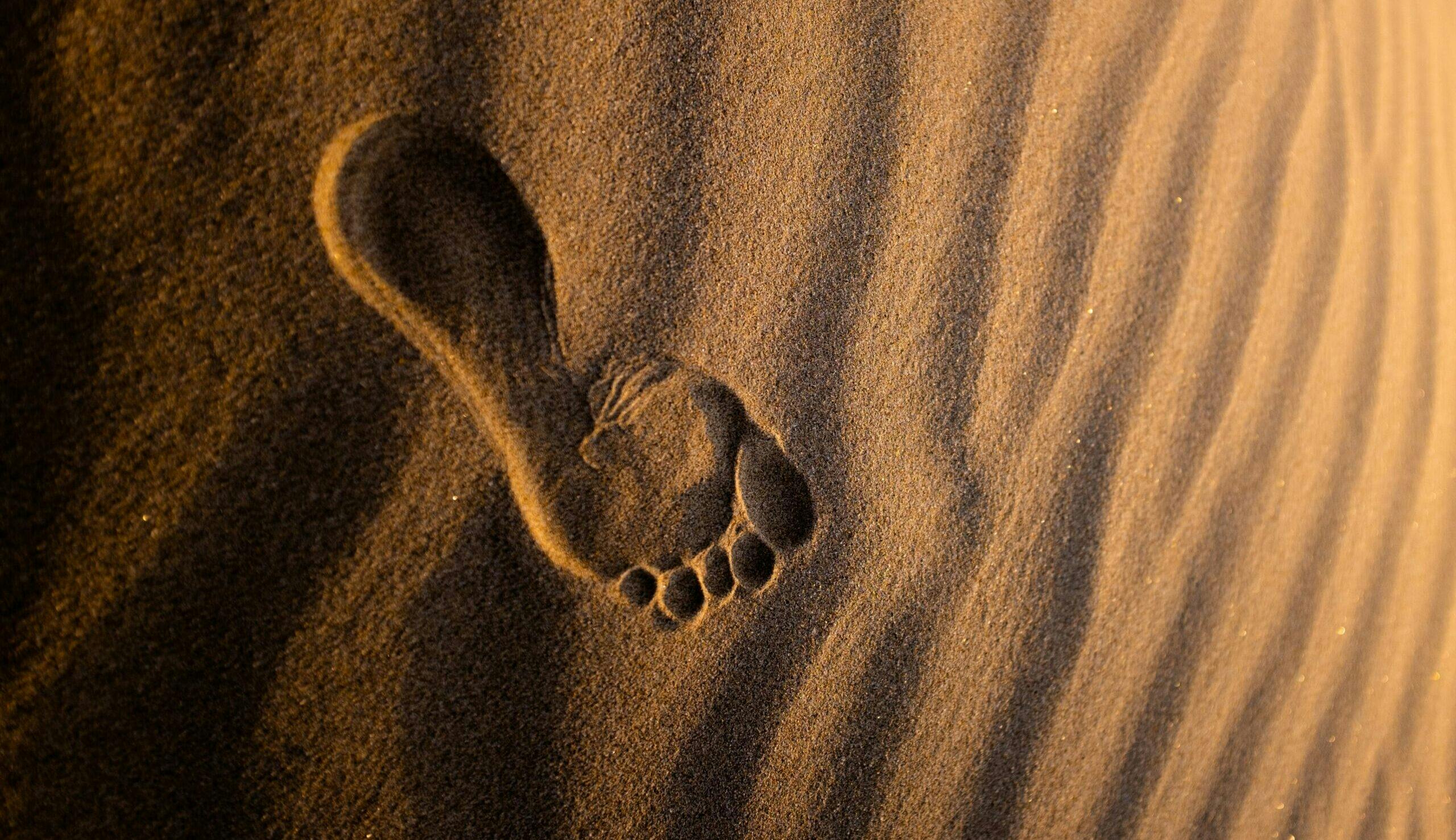 Bare footprint in the desert sand